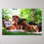Pittie Picnic Posters