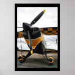 Pitts Special