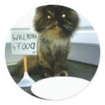 Pity Kitty Will Purr For Food Round Stickers