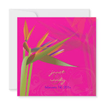 PixDezines Bird of Paradise, DIY background colour
