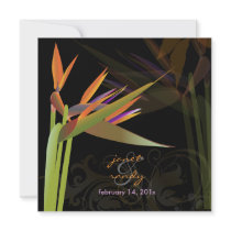 PixDezines Bird of Paradise/DIY background colour!