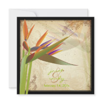 PixDezines Bird of Paradise/vintage background Custom Invitation