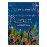 PixDezines diy event+background/peacock feather invitations