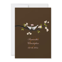 PixDezines doves/love birds/diy background colour!