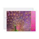 PixDezines Proud Peacock Feather for longevity invitations