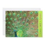 PixDezines Proud Peacock Feather for longevity invitations