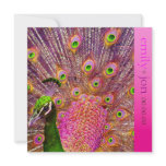PixDezines Proud Peacock Feather for longevity invitations