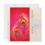 PixDezines Pzazz Peacock Feather Custom Invitations