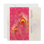 PixDezines Pzazz Peacock Feather Invite