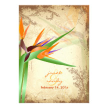 PixDezines viintage bird of paradise Personalized Invitation