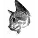 PIXEL CAT PORTRAIT t-shirts