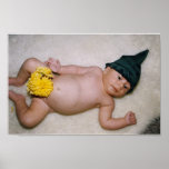 PIXIE BOY posters