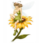 Pixie fairy t-shirts