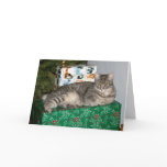 Pixie Kitty guards the presents cards