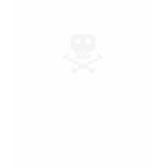 Pixl Skull - Ladies t-shirts