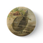 PJ Smith - Soft-Shelled River Tortoise buttons