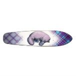 Plaidypus skateboards