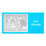 Plain Colour - Sky Blue photo cards