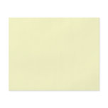 Plain Cream Background flyers