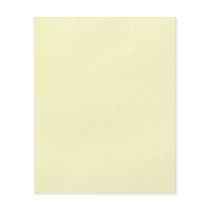 Plain Cream Background Full Colour Flyer