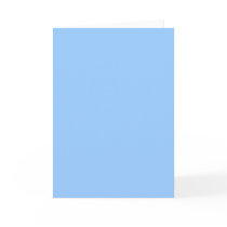 Plain Light Blue Background.