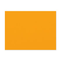Plain Orange Background.