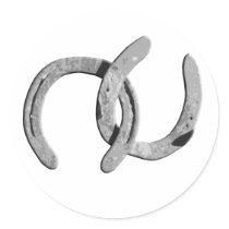 Plain Silver Horse Shoes