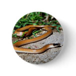Plains Black-headed Snake buttons