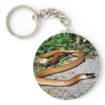 Plains Black-headed Snake keychains