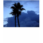 Plam Trees At Sunrise t-shirts