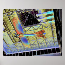 Plane Ceiling? (2) Posters