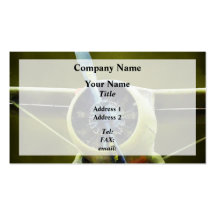 Plane - DeHavilland U-6A Beaver Business Card