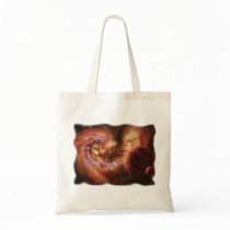 Planetary System and Antennae Galaxies Bag