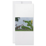 Plant and blue sky with giraffes in the background rack cards