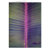 Plant Banana Greeting Card
