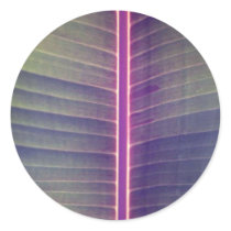 Plant Banana Stickers