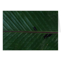 Plant Banana Up Cards