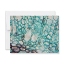 plant cells micrography announcements