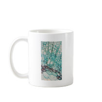 plant cells micrography mug