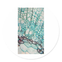 plant cells micrography stickers
