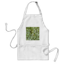 Plant covering stone wall aprons