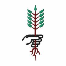 PLANT EMBROIDERED JACKET