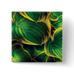 Plant - Hosta Leaves
