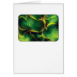 Plant - Hosta Leaves Card