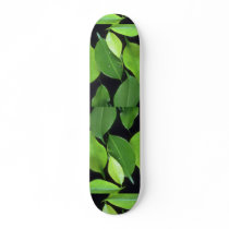 Plant Leafy Ben Skate Board Decks
