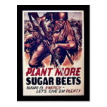 Plant More Sugar Beets Postcard