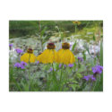 Plant Natives Go Green Verbena postcards