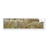 Plant Rye Seed bumper stickers