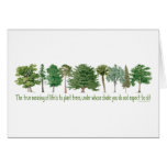 Plant Trees Greeting Cards