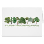 Plant Trees - Tree Lover, Hugger cards
